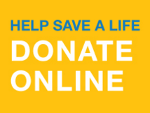 Petra University Launches Online Donation Campaign For Supporting Cancer Patients